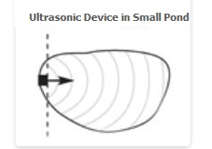 ultrasonic algae treatment